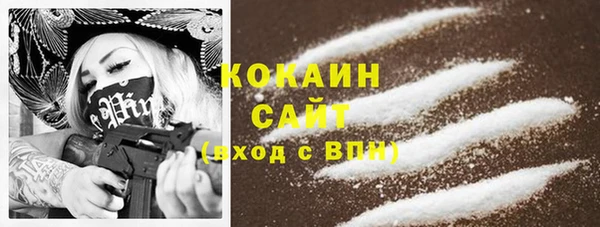 соль ск Алексин