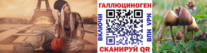 Галлюциногенные грибы мицелий  Амурск 